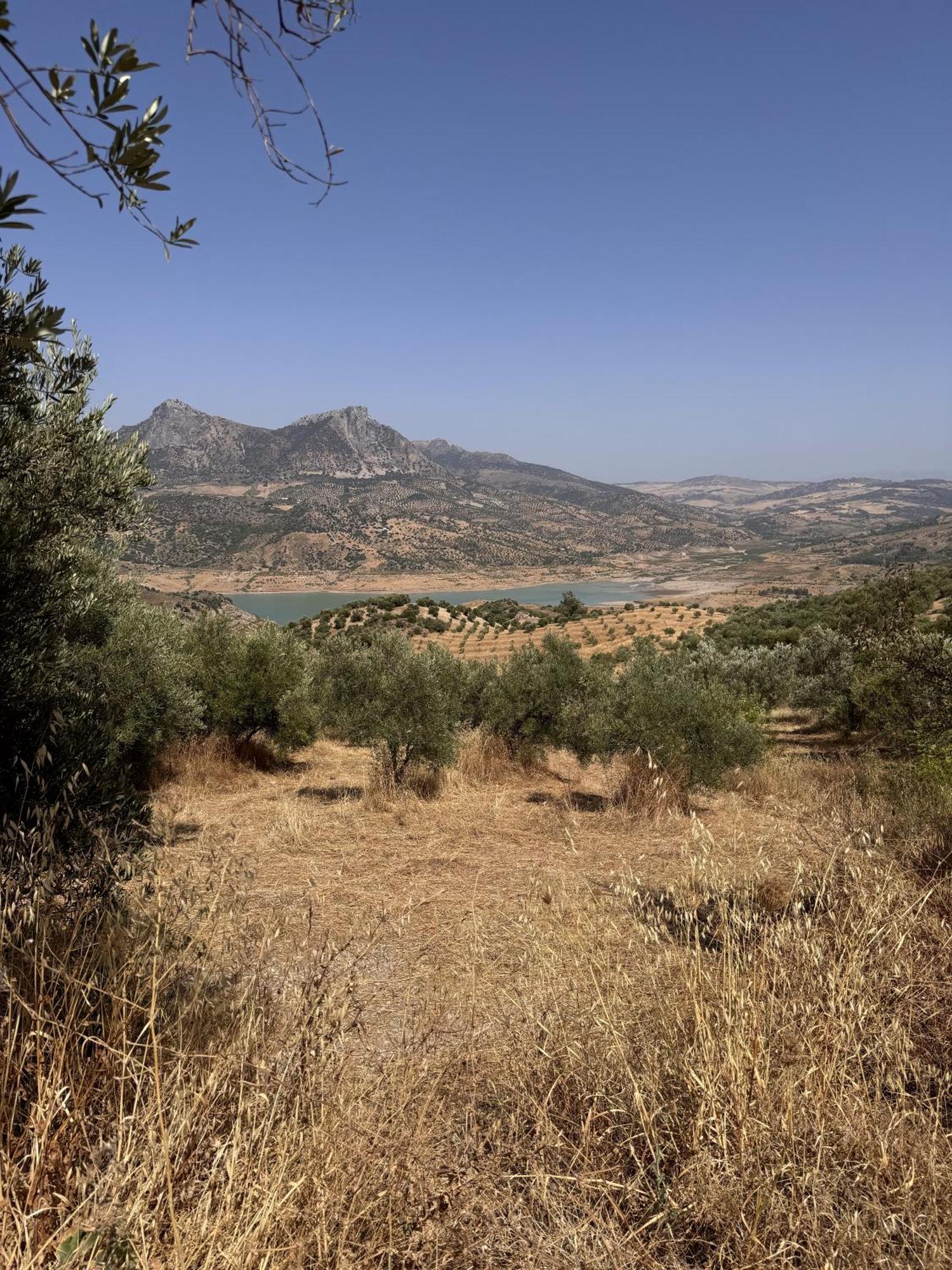 Finca Luca Oliva Саара-де-ла-Сьерра Экстерьер фото